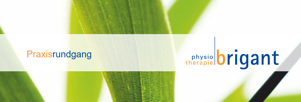 screenshot 2026 02 21 162152