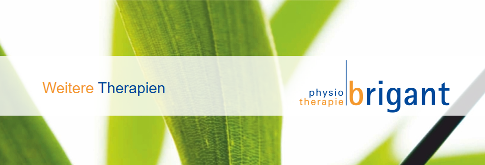 screenshot 2026 02 22 124312